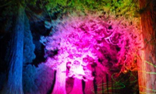 tree.jpg