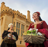 stirling castle christmas.png