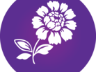 1alzscot.png