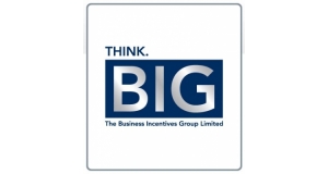 The Business Incentives Group